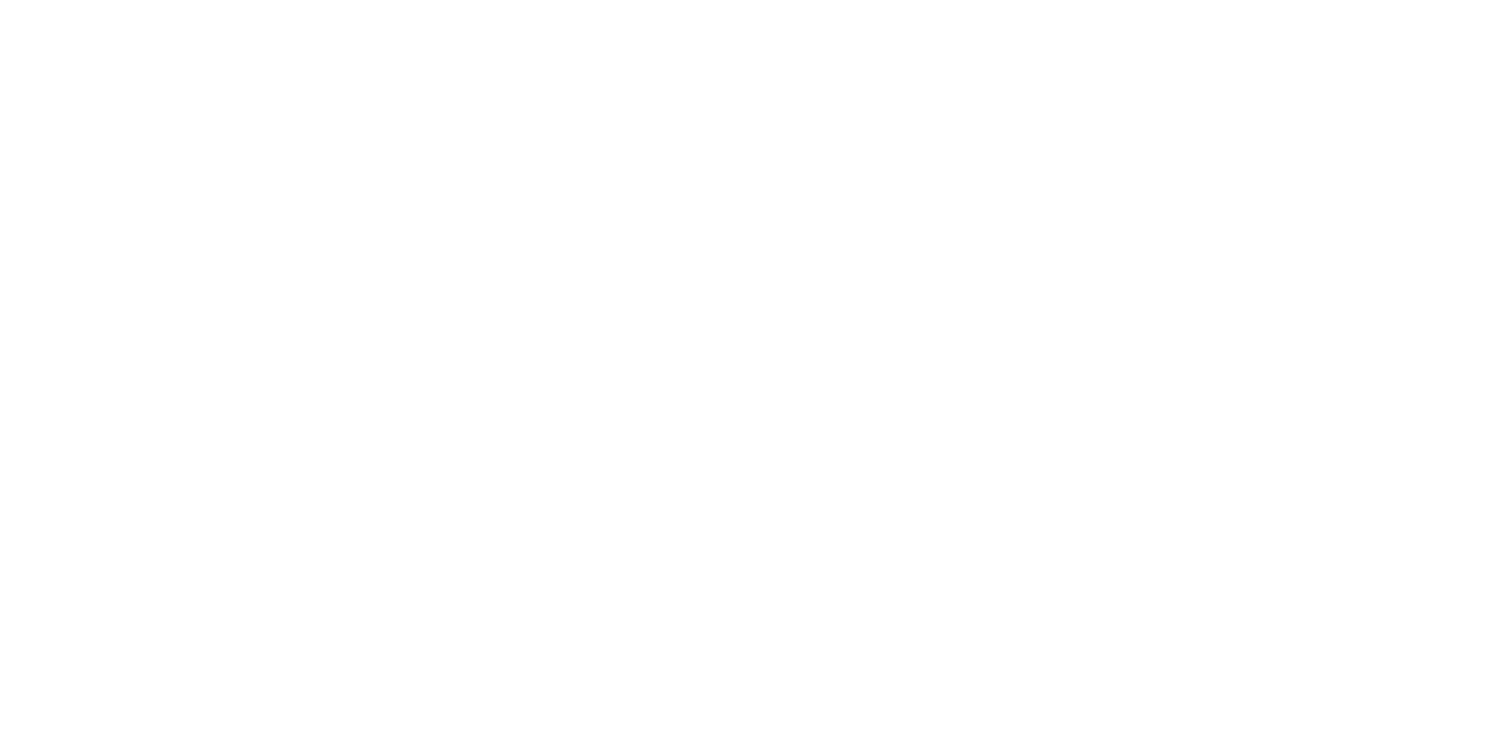 VPSuniverse Logo